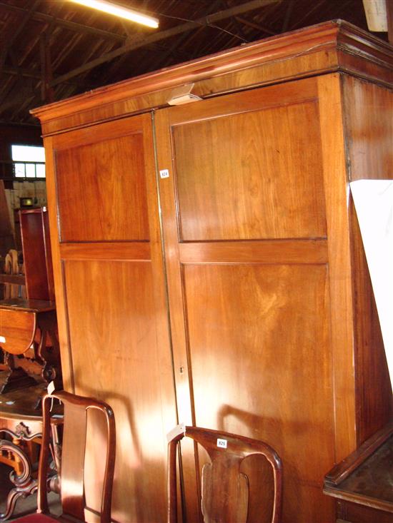 Mahogany double wardrobe, enclosed by panelled doors with drawer to base